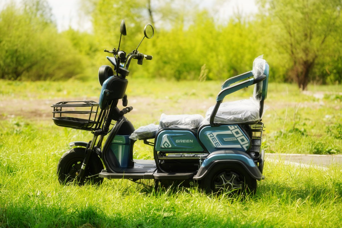 Электро трицикл Green 600L REE (48V20Ah 1000W)