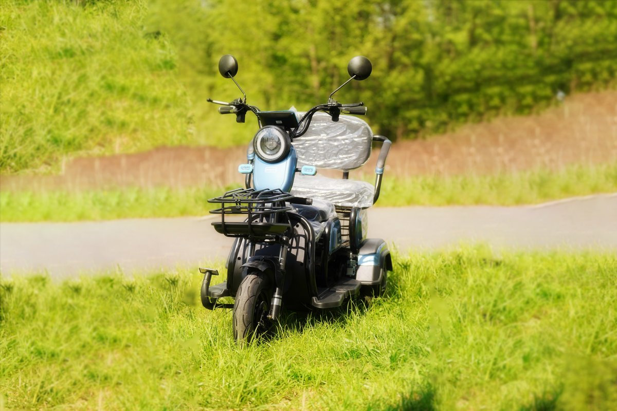 Электро трицикл Green 600L REE (48V20Ah 1000W)